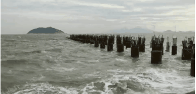 1604988826917594.png 7e00c35668c9ae04b7e754baae5555b.png