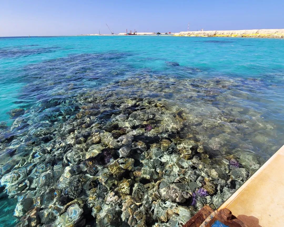 1652055269634022.jpg 12.jpg