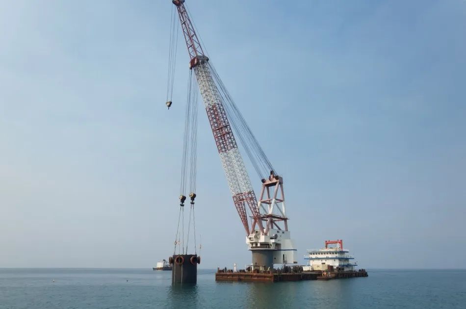 1675146226905445.jpg 334.jpg