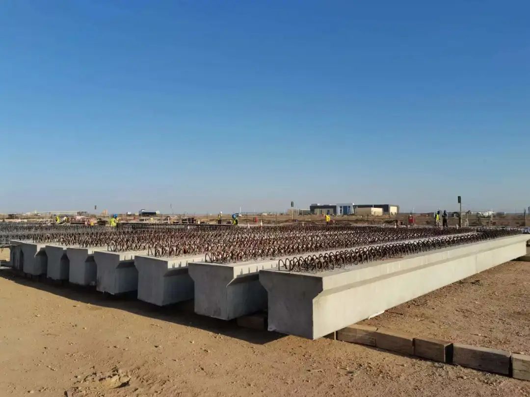 1682212104761513.jpg 123.jpg