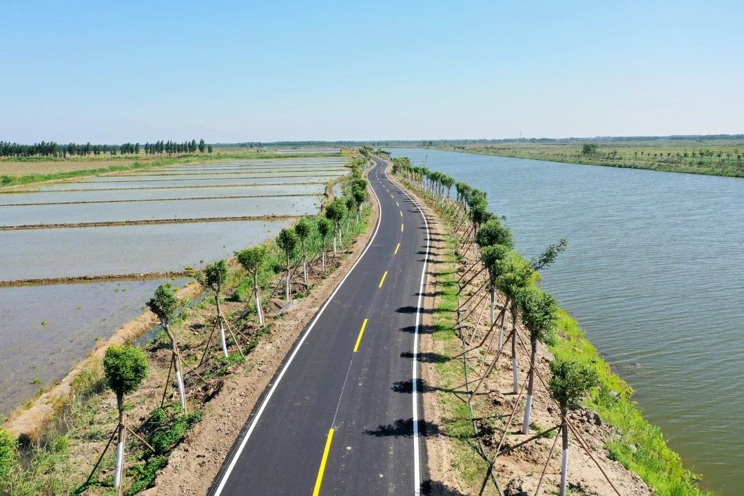 1685493237497257.jpg 11134.jpg