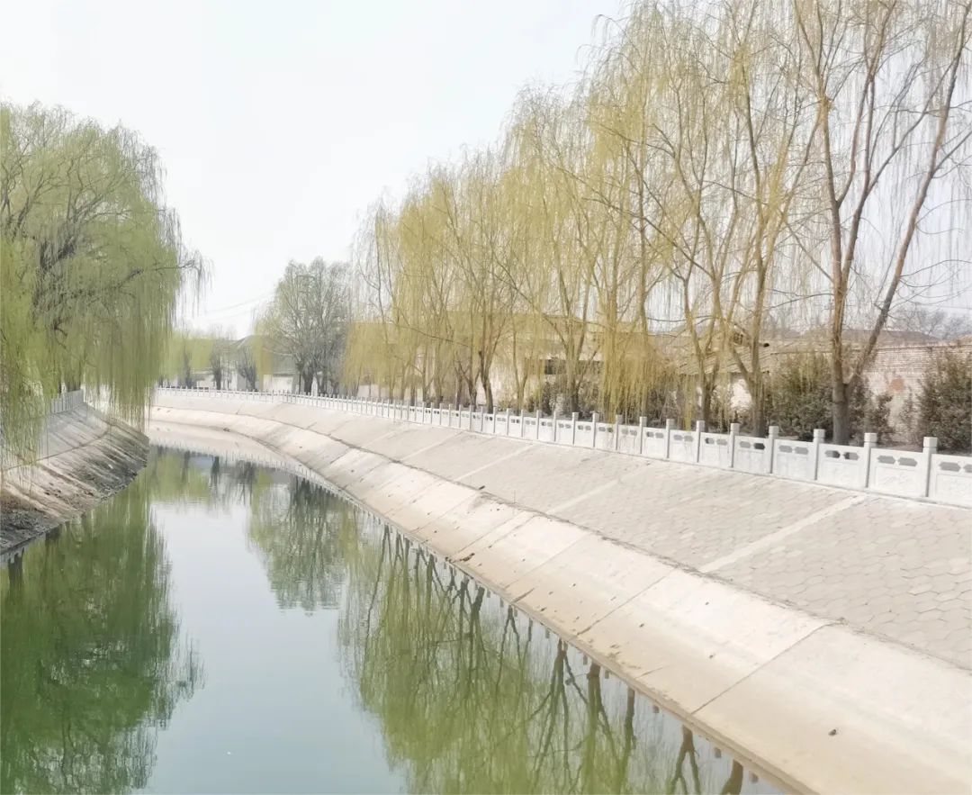 1686183713473231.jpg 213.jpg