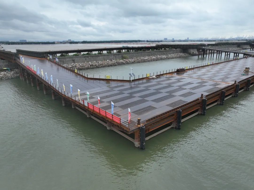 1697588105947237.jpg 640.jpg