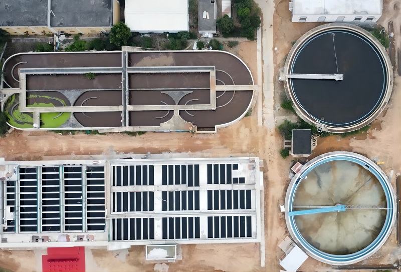 1703549293544225.jpg 640.jpg