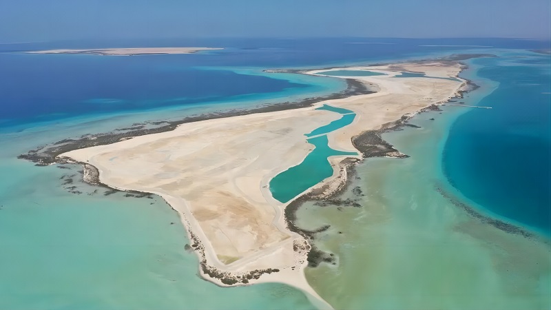 1709079789669033.jpg 640.jpg