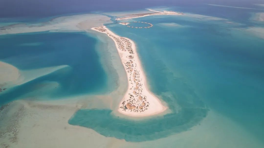 1712884708569905.jpg 640.jpg