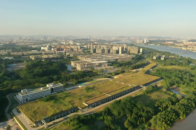 1728372234622172.jpg 640.jpg