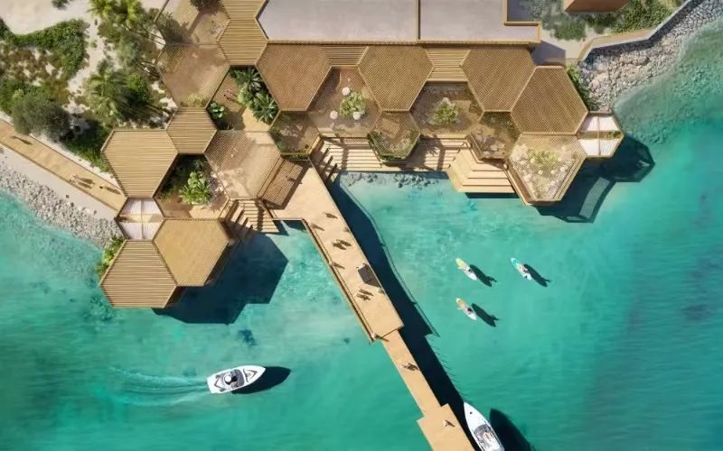 1737856208278219.jpg 640 (1).jpg